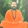 guru